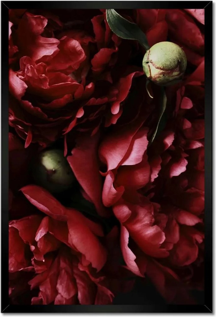 Poszterek keretben 40x60 Bazsarózsa bordó hangulatban