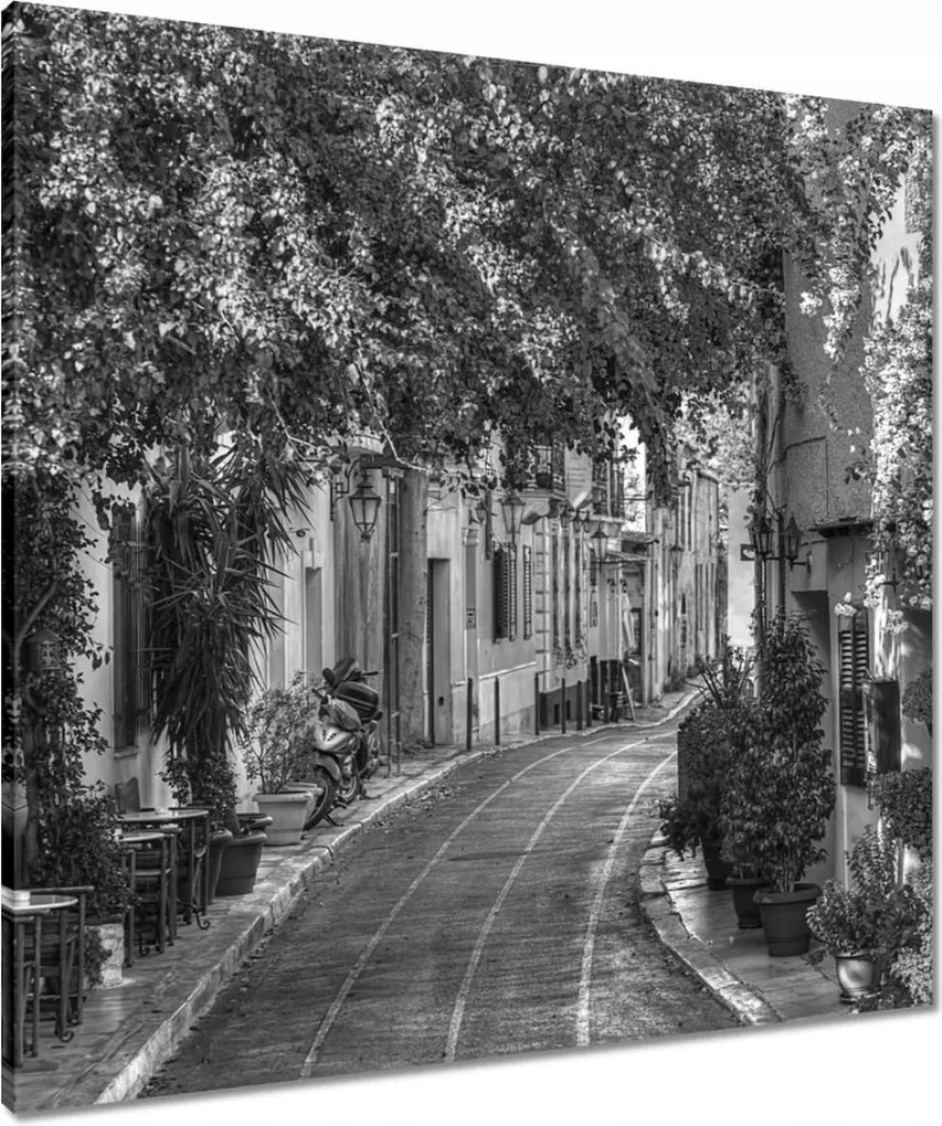 Vászonkép 70x70 Görögország Plaka negyed Út a virágok között