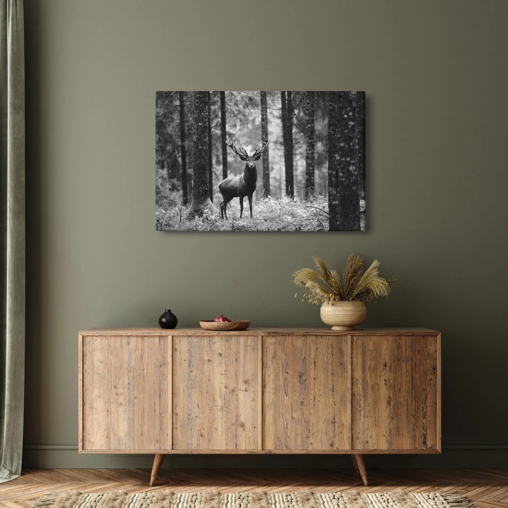 Kép - Szarvas az erdőben 2, fekete-fehér (90x60 cm)