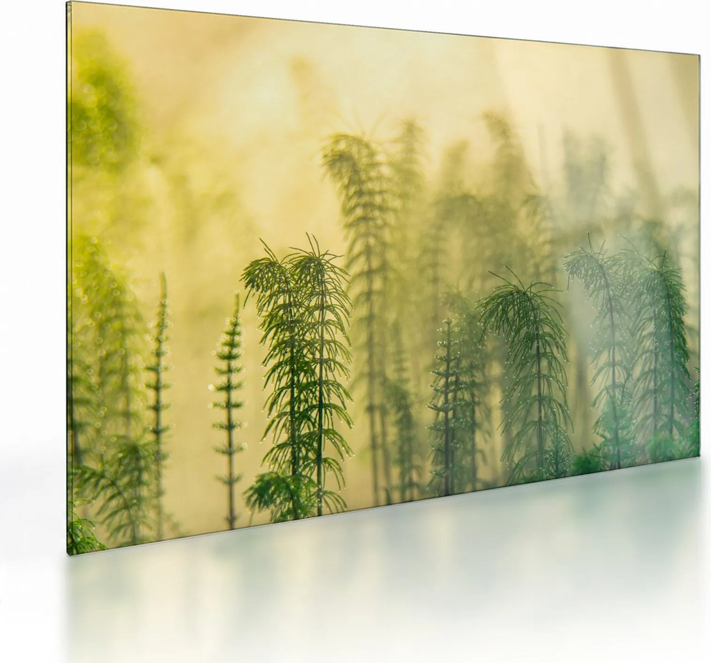 Üveg kép - Részlet a tavaszi ködös természetből (70x50 cm)