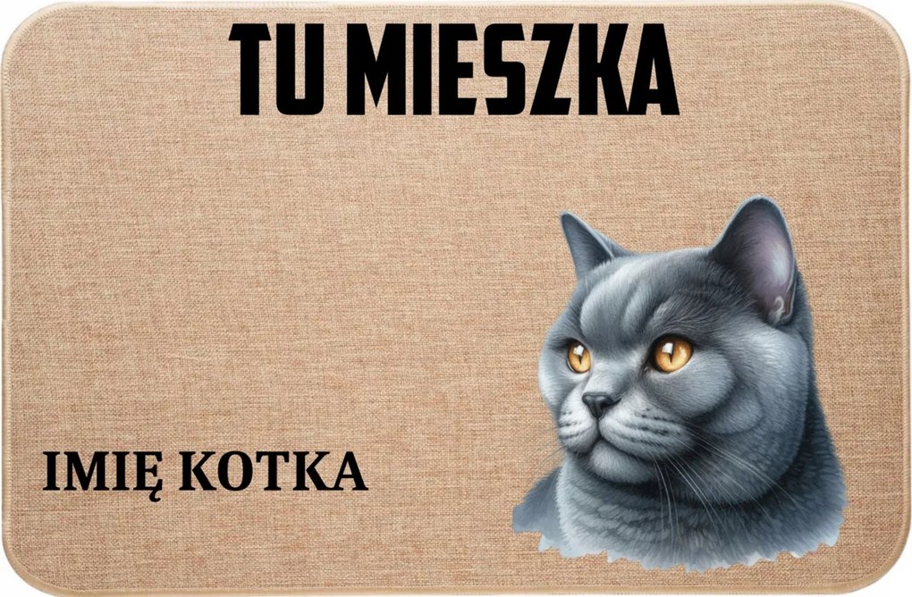 Lenvászon Lábtörlő Macskával Itt Lakik Cica Név Hűvös Ajándék