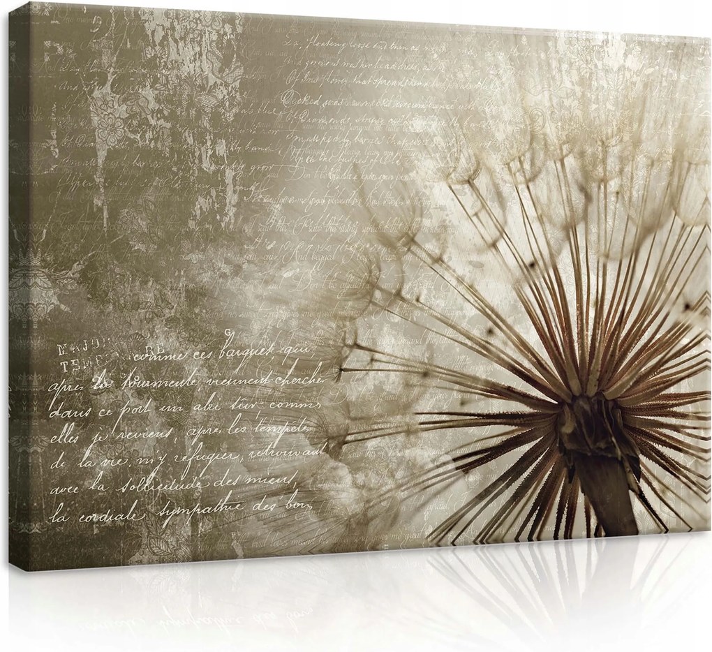 Vászonkép 70x50 Pitypang mag pehely könnyű bézs barna szél