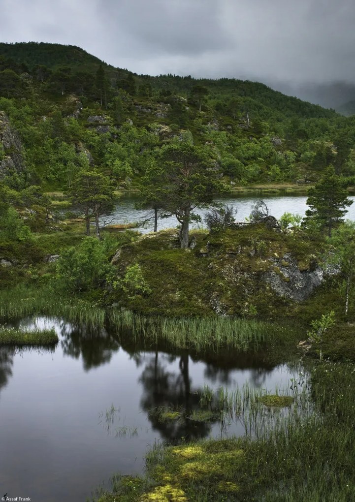 Poszter 21x29,7cm Norvég fjord 5, Assaf Frank