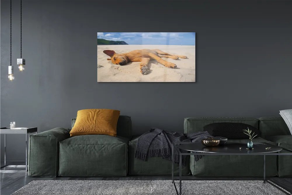 Üvegképek Fekvő kutya strand 120x60cm