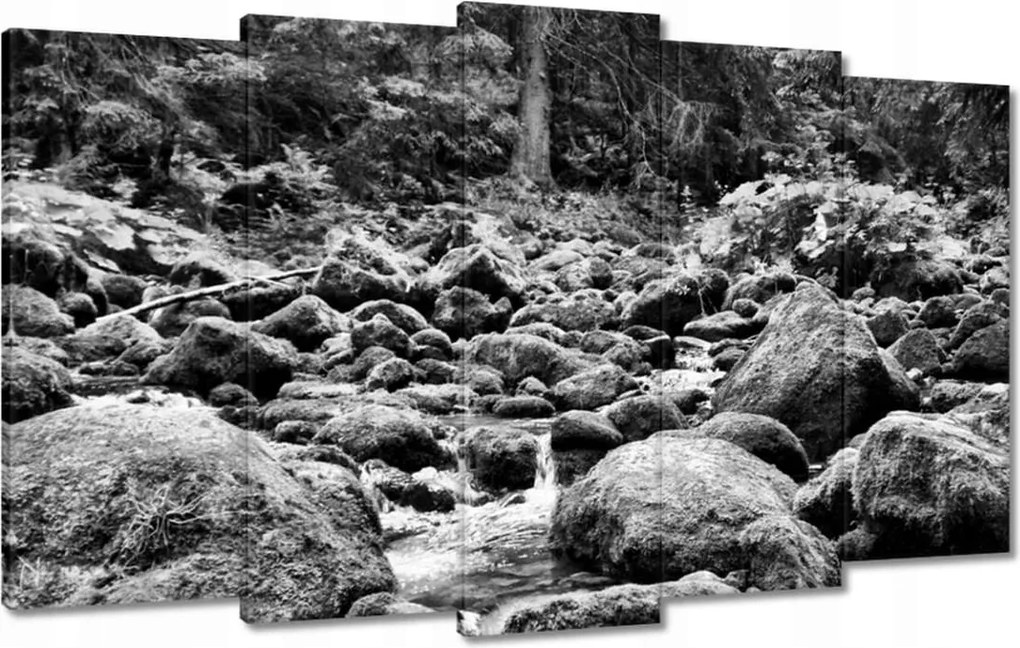 Képek 100x60 Tátra Lengyel hegyek Kilátás