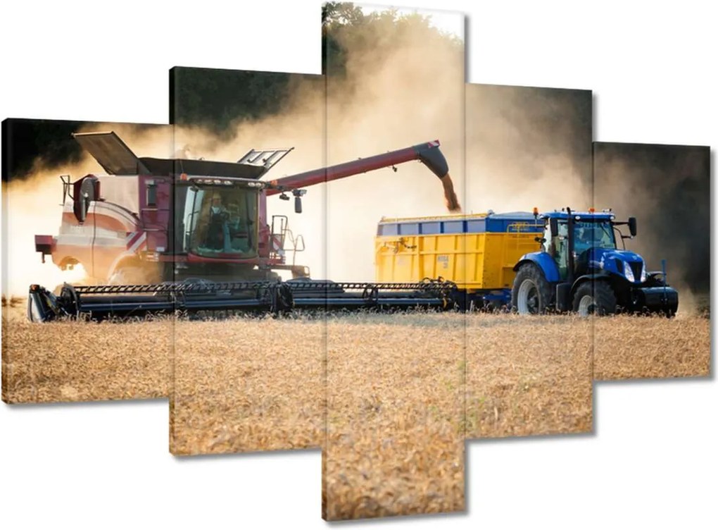 Képek 100x70 Aratás Kombájn Traktor