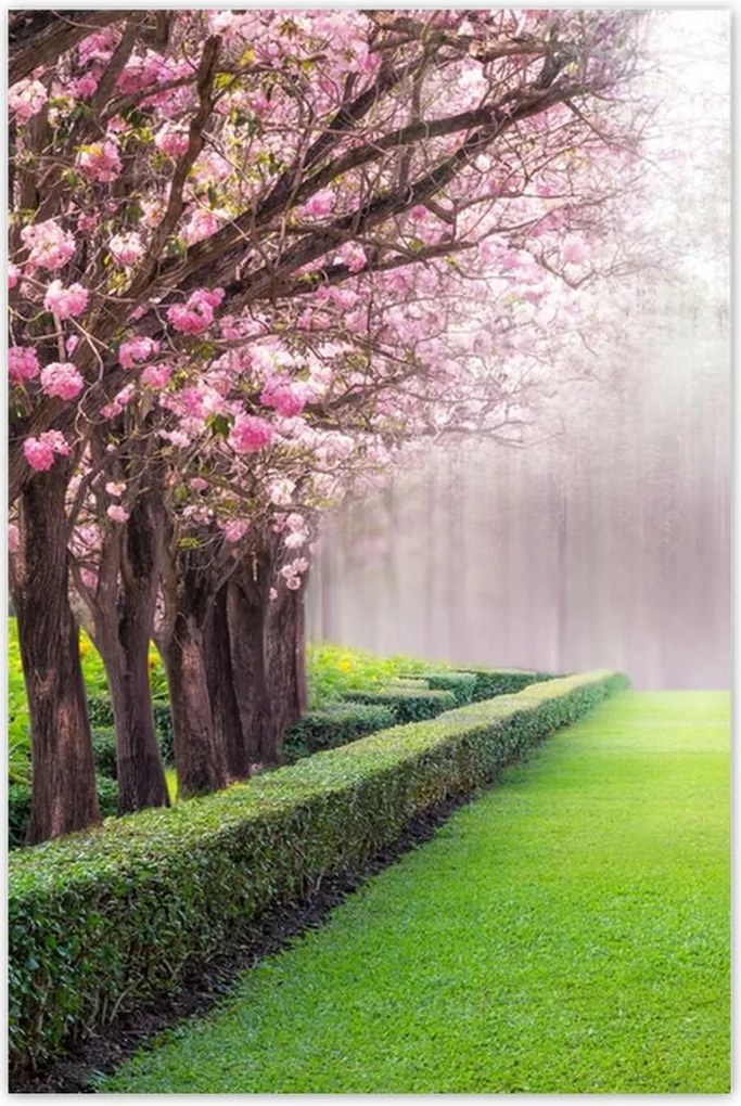 Poszterek 60x90 Gyönyörű virágok a nappaliba