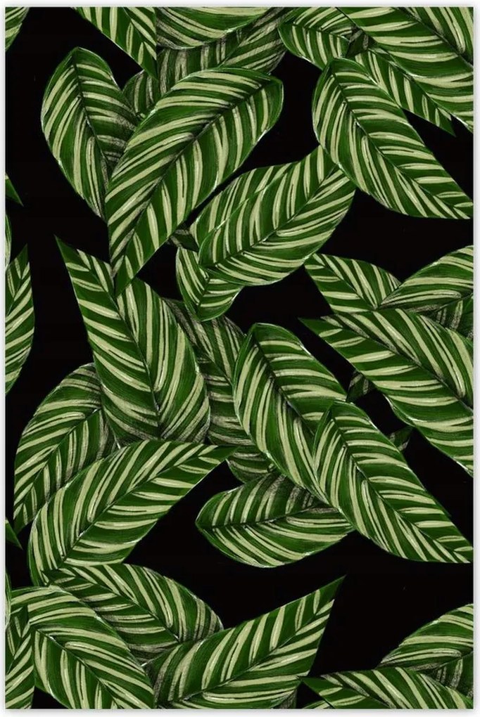 Poszterek 80x120 Zöld levelek Trópusok
