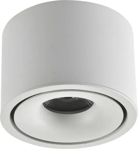 AZZARDO 6033 COSTA Hengeres Mennyezeti Lámpa LED IP20