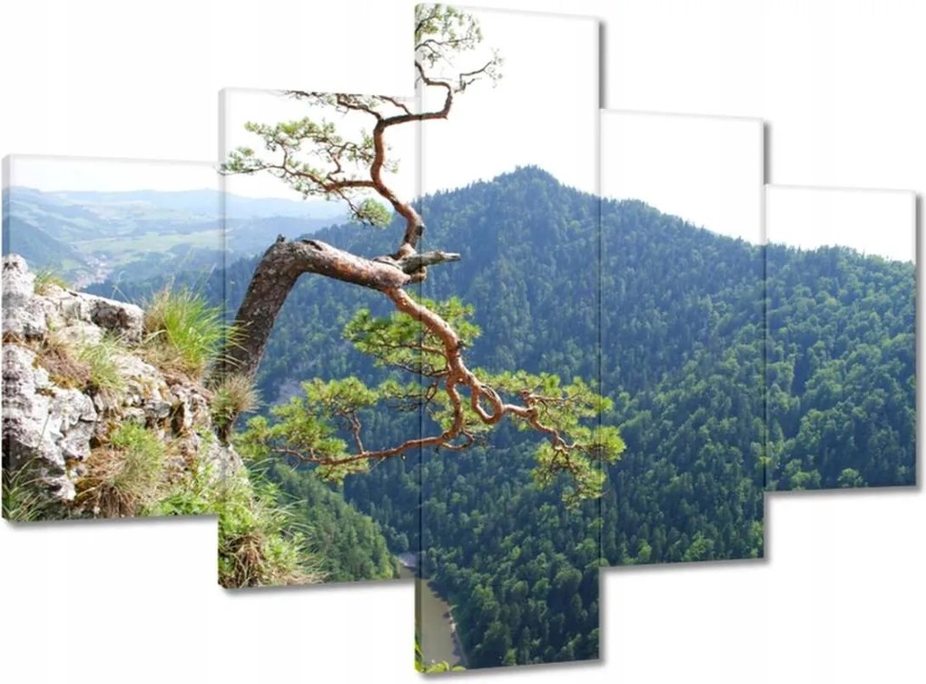 Vászonkép 100x70 Magányos fa