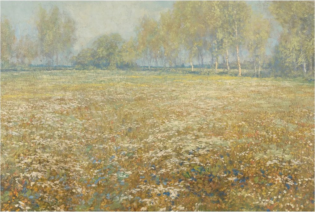 Dekoratív Fotótapéta Hálószobába Virágzó mező 104x70 Ragasztó