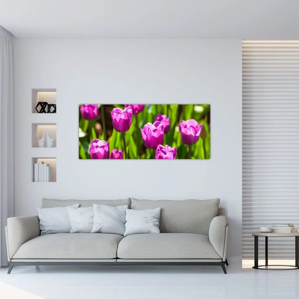 Tulipánok a réten képe (120x50 cm)