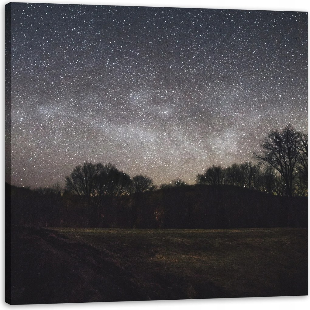 Vászonkép Kozmosz Csillagos égbolt Galaxis 60x60 cm