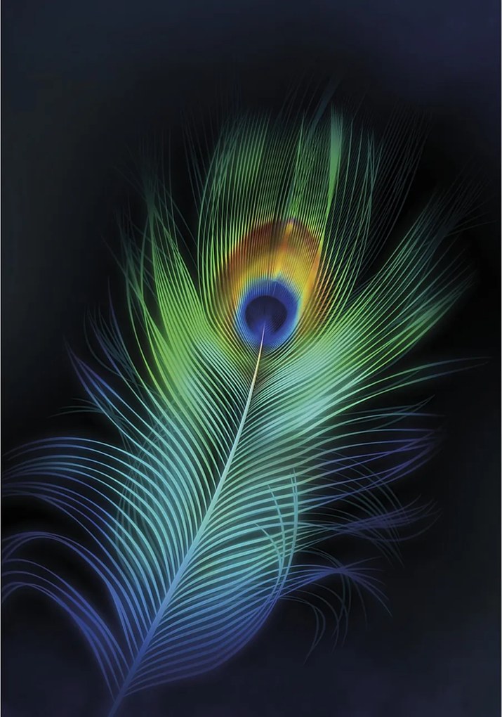 Dekoria Vászonkép páva toll 35x50