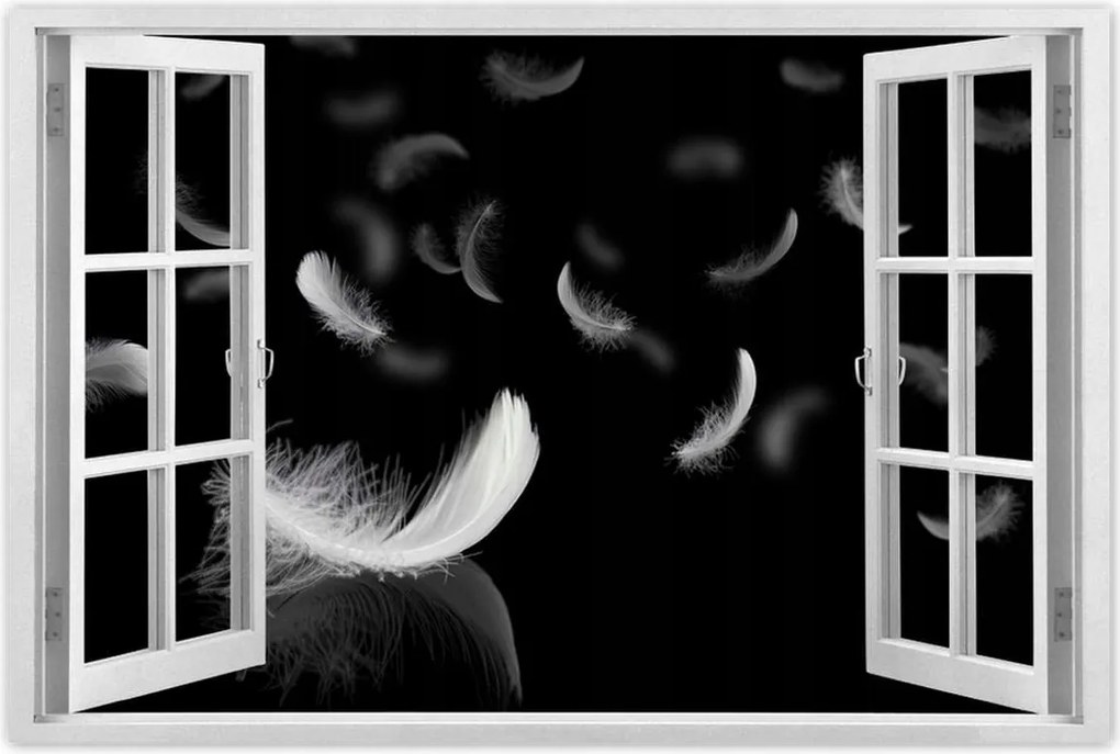 Poszterek 90x60 Hulló fehér tollak