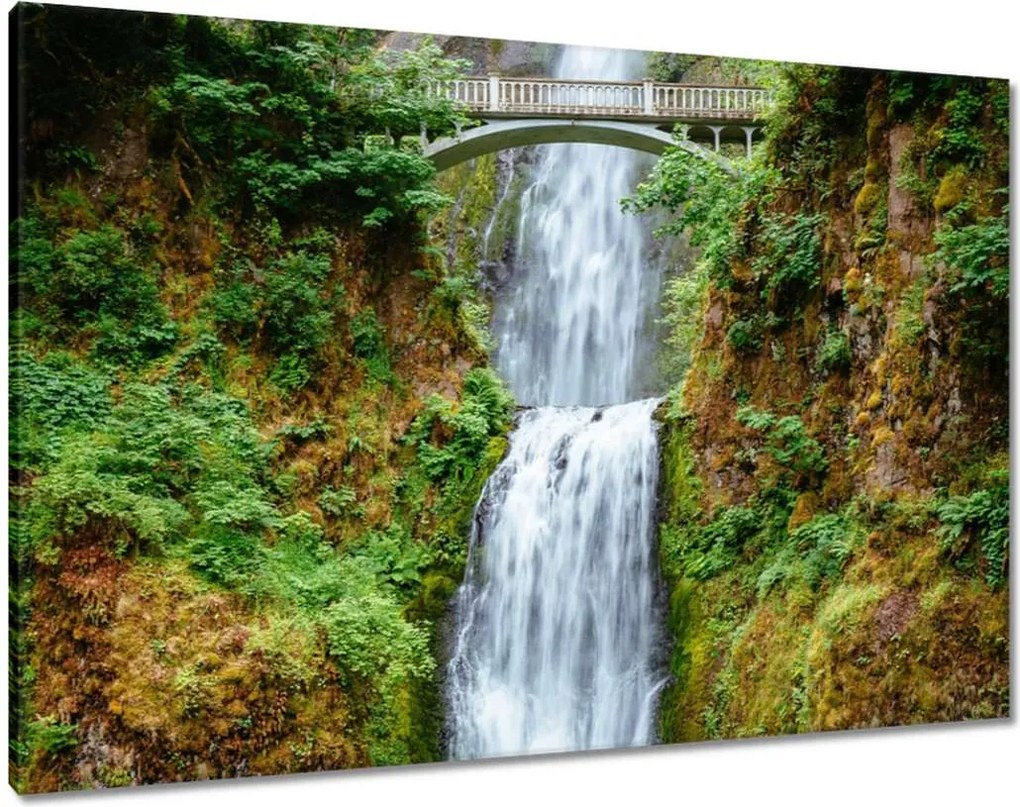 Vászonkép 100x70 Trópusi vízesés Hegyek