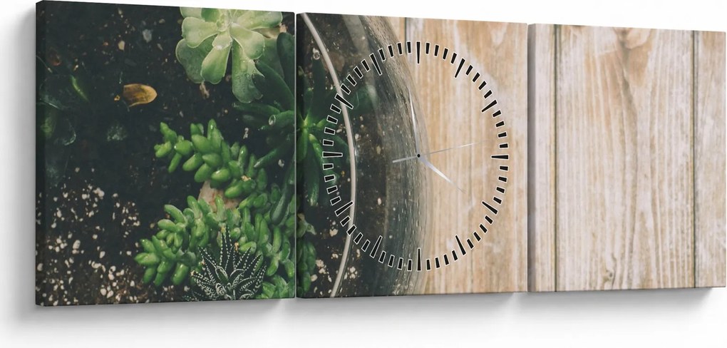 A pozsgás növények képe üvegben (órával) (90x30 cm)