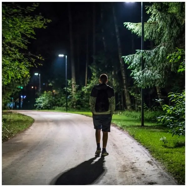 LED Napelemes utcai lámpa érzékelővel URBI LED/8W/3,2V 6500K IP54 + távirányító