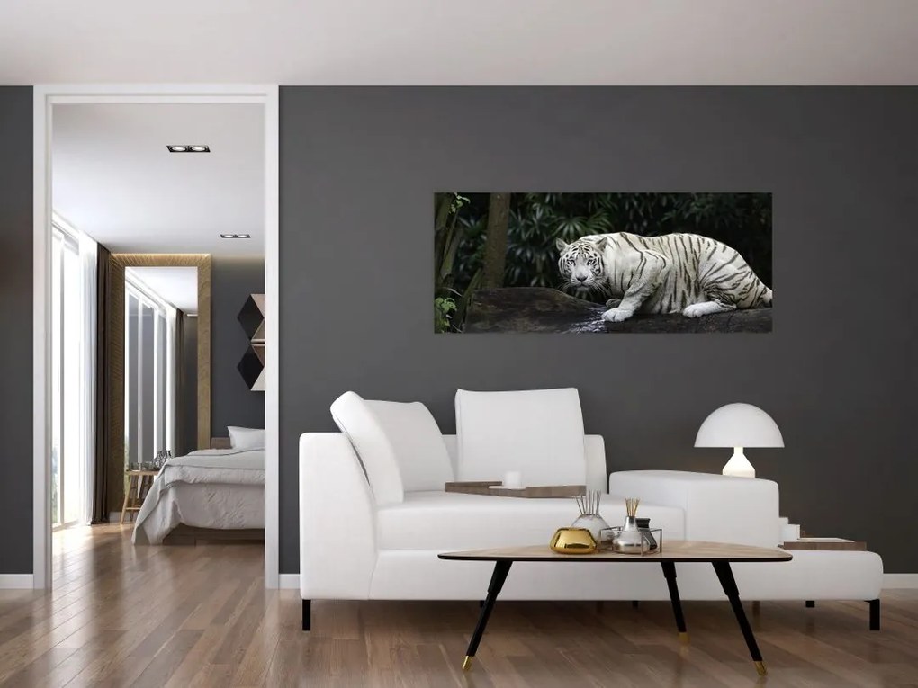 Kép - albínó tigris (120x50 cm)