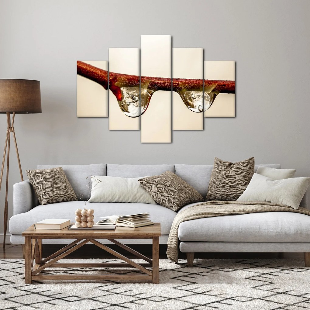 Vízcseppek a faágon képe (150x105 cm)