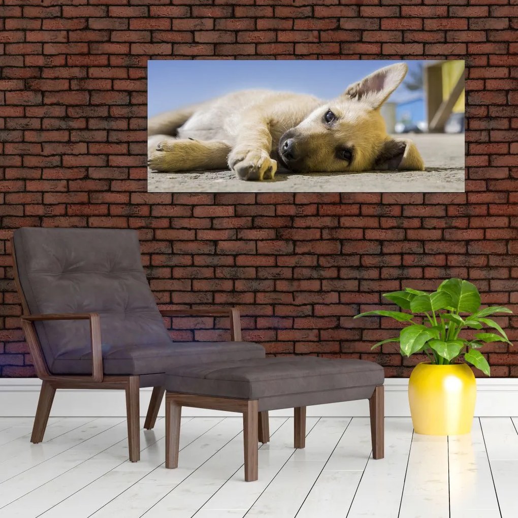 Fekvő kiskutya képe (120x50 cm)