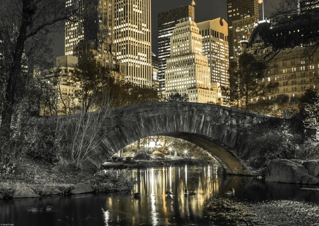 Poszter 42x29,7cm Esti kilátás a New York-i Central Parkra 2, Assaf Fra