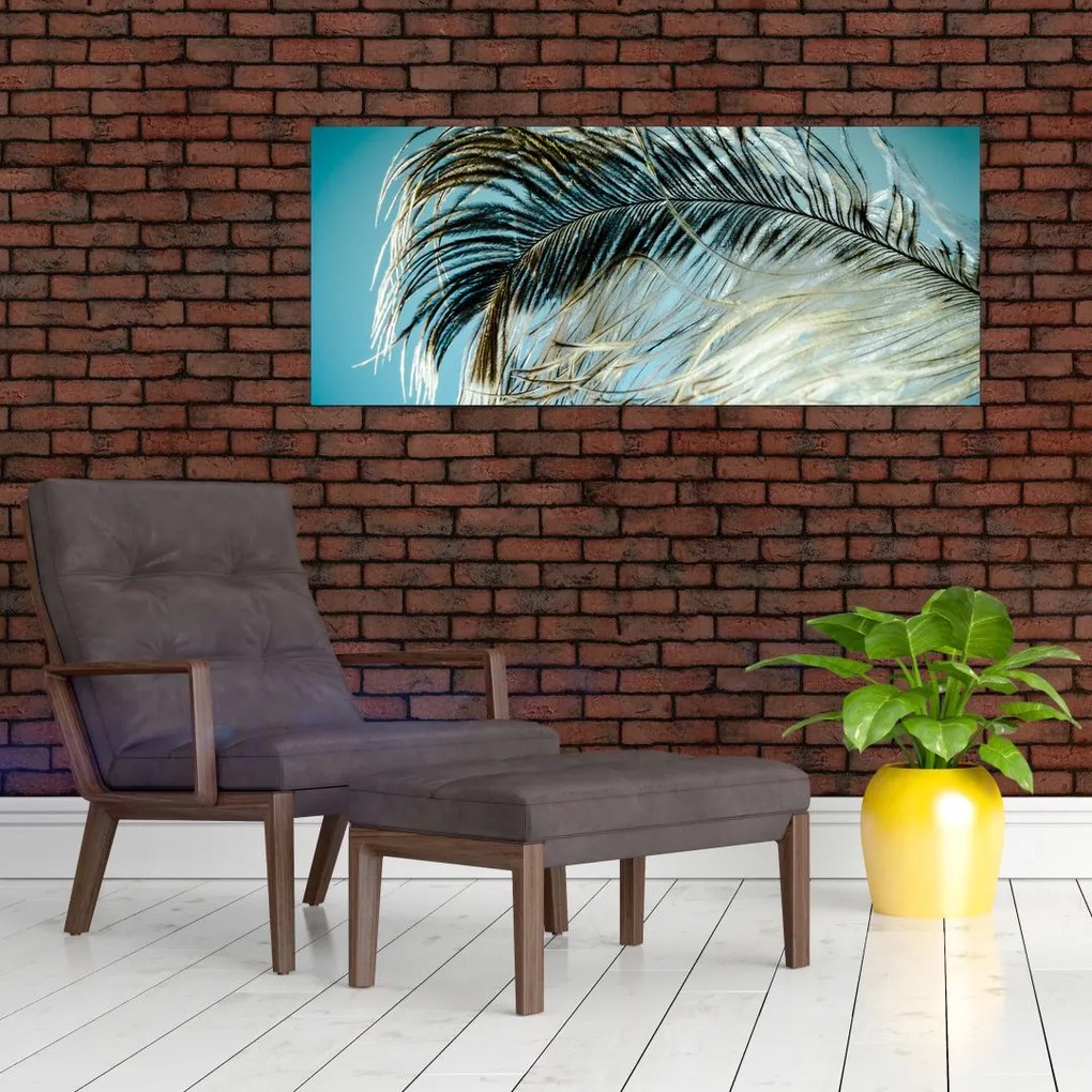 Tollas kép (120x50 cm)