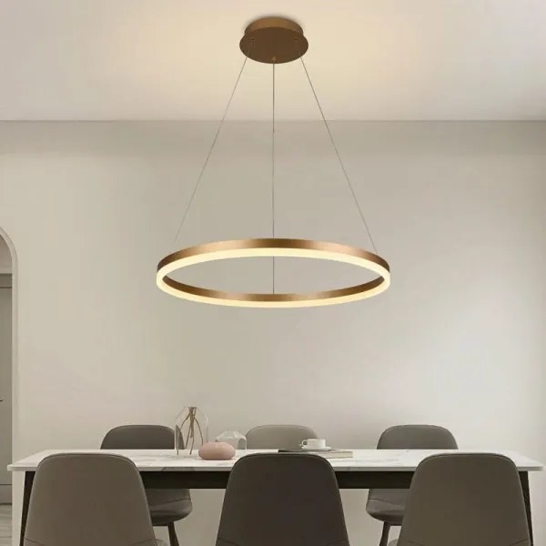 Brilagi - LED Dimmelhető csillár zsinóron CIRCLE LED/42W/230V 3000-6500K + távirányító