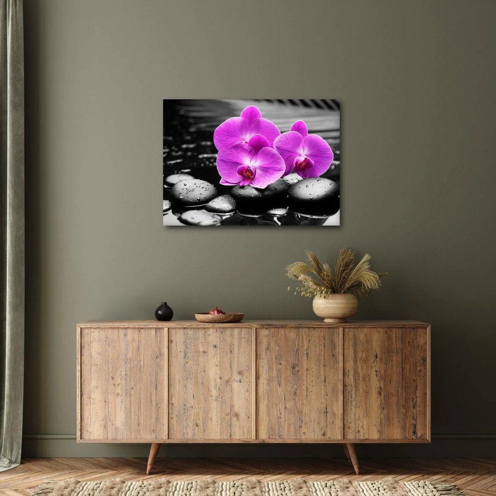 Kép - Lila orchideák (70x50 cm)