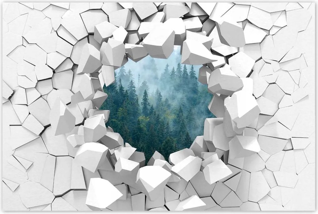 Poszterek 120x80 Erdő a ködben Utazás