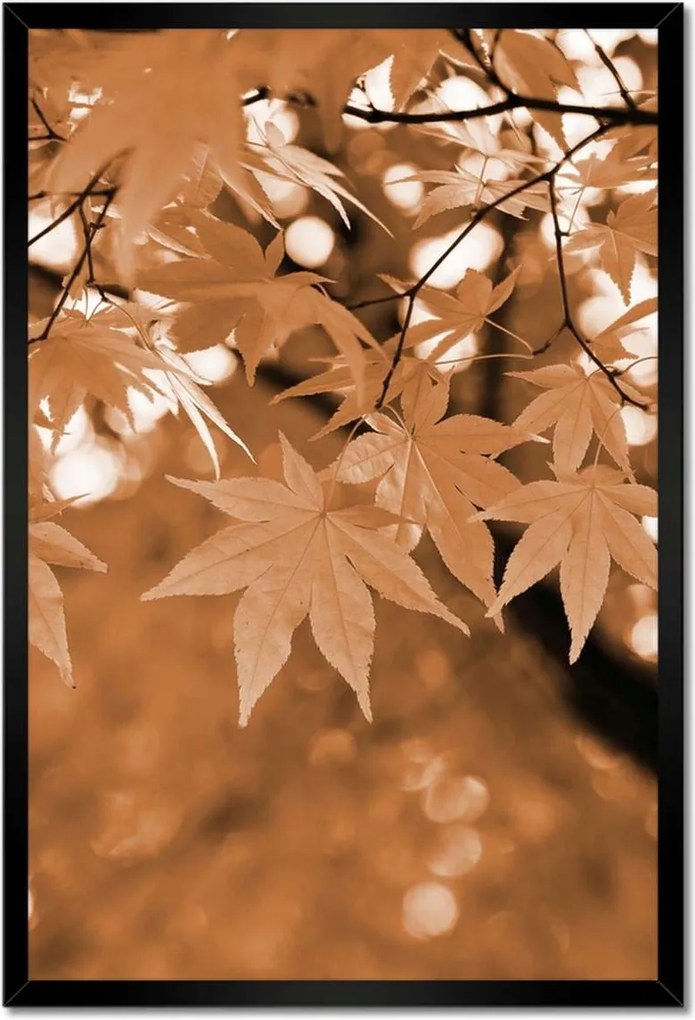Poszterek keretben 40x60 Szépia Őszi levelek