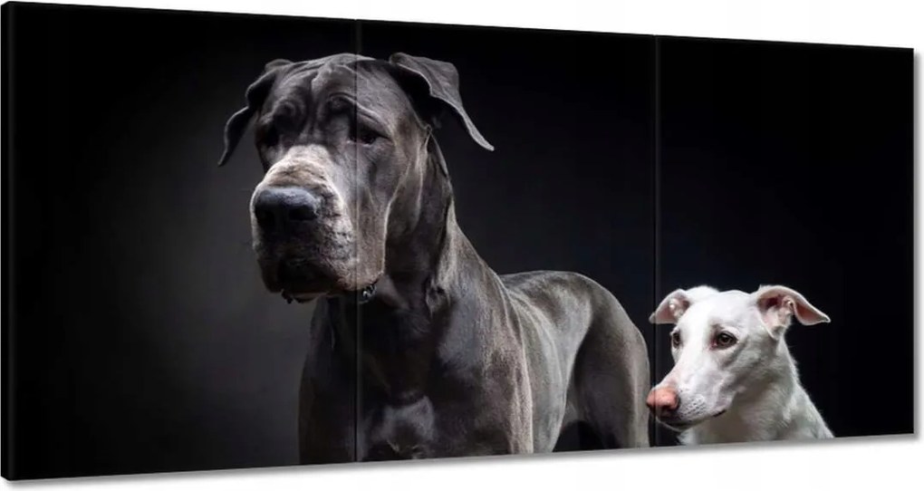 Vászonkép 180x90 Német kutya