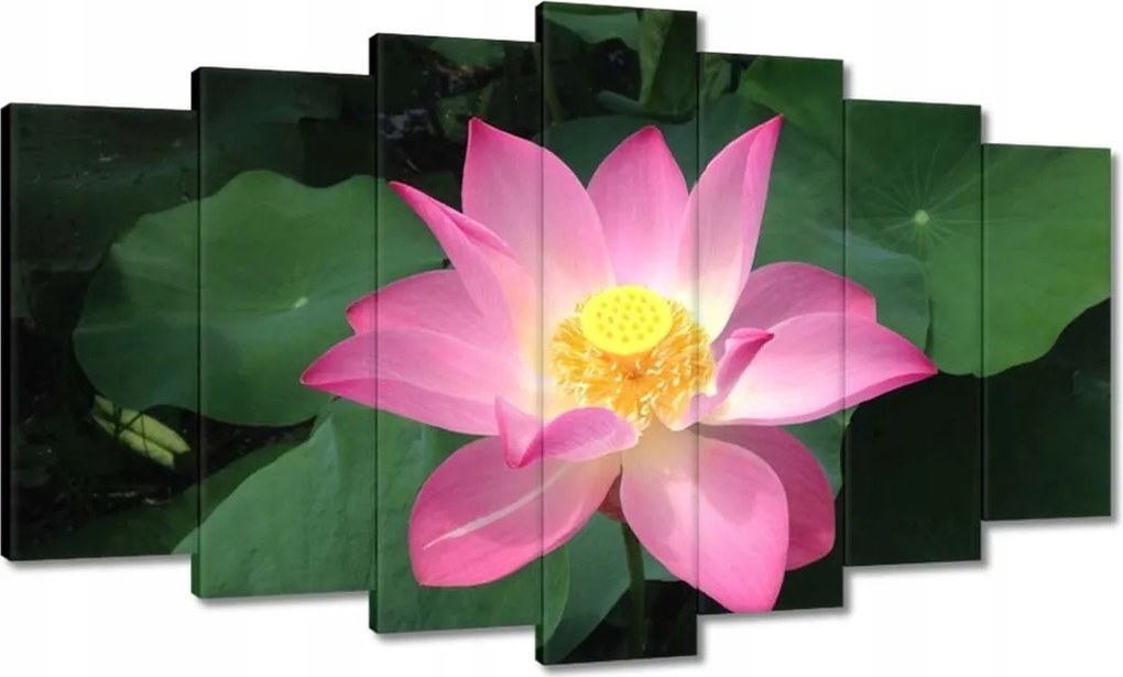 Vászonkép 140x80 Lótusz Lótuszvirág
