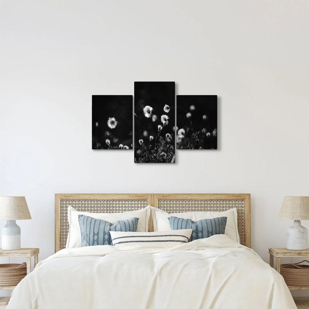 Kép - Gyapotfűvel borított rét N⁰1 (90x60 cm)
