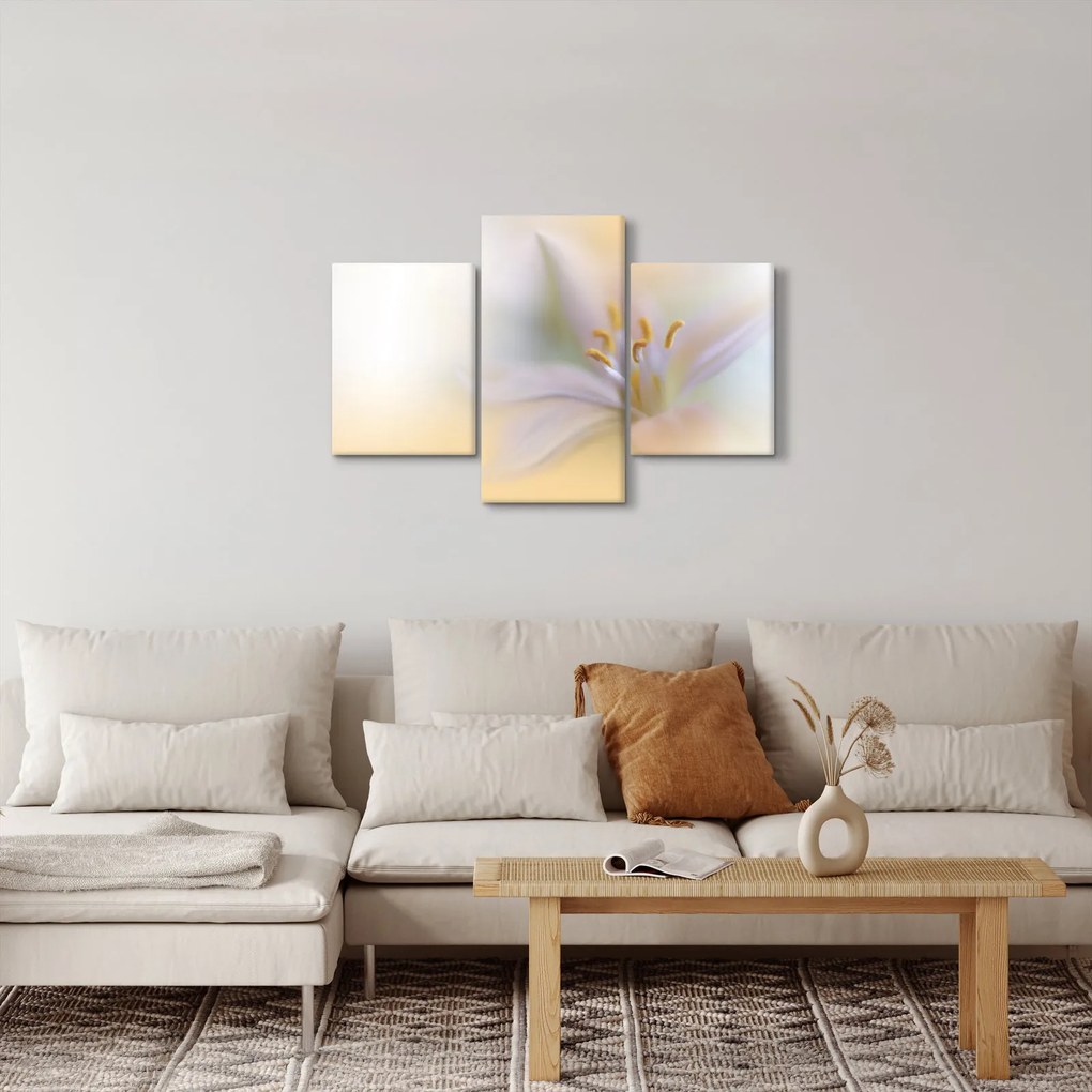 Kép - Gyengéd virág (90x60 cm)