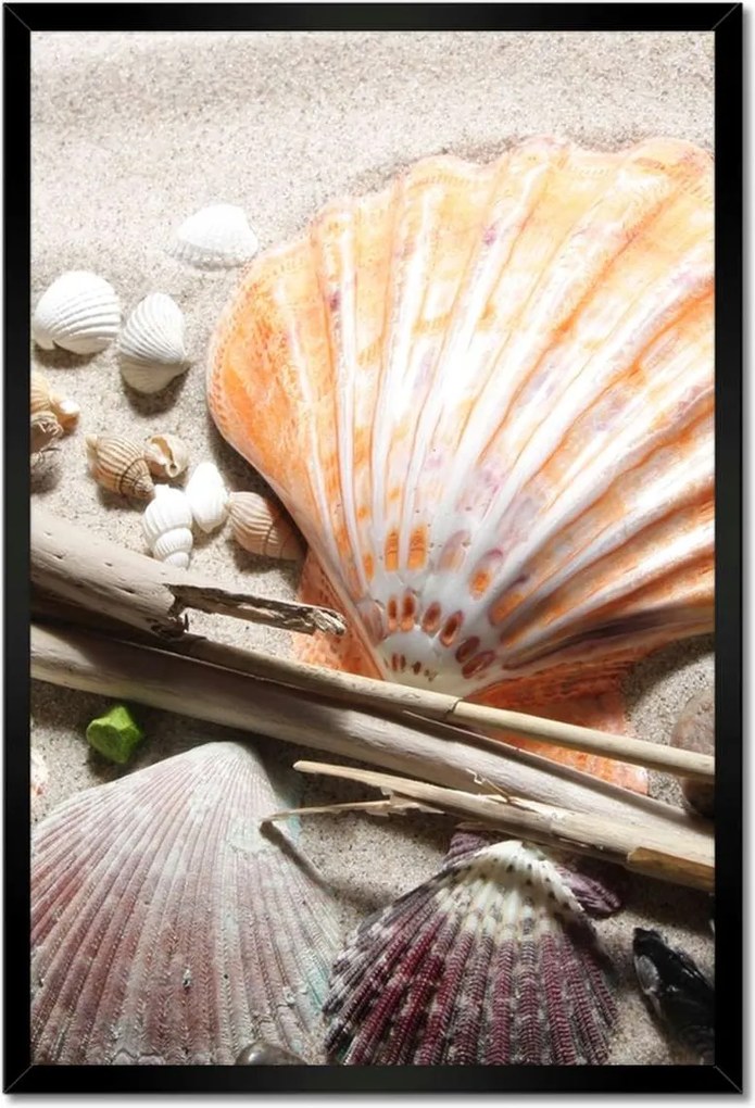 Poszterek keretben 40x60 Kagylók a balti tengerpartról