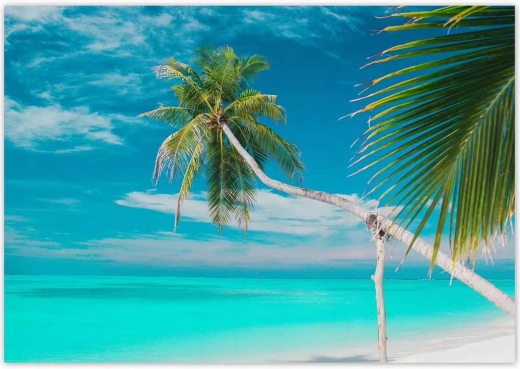 Poszterek 100x70 Tájkép Látvány