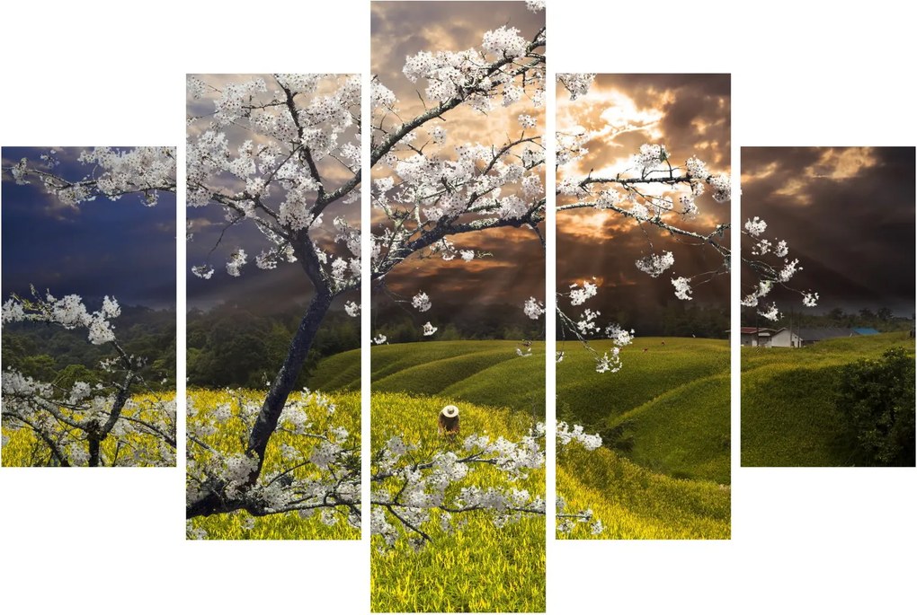 Kép - Virágzó fa az országban (150x105 cm)