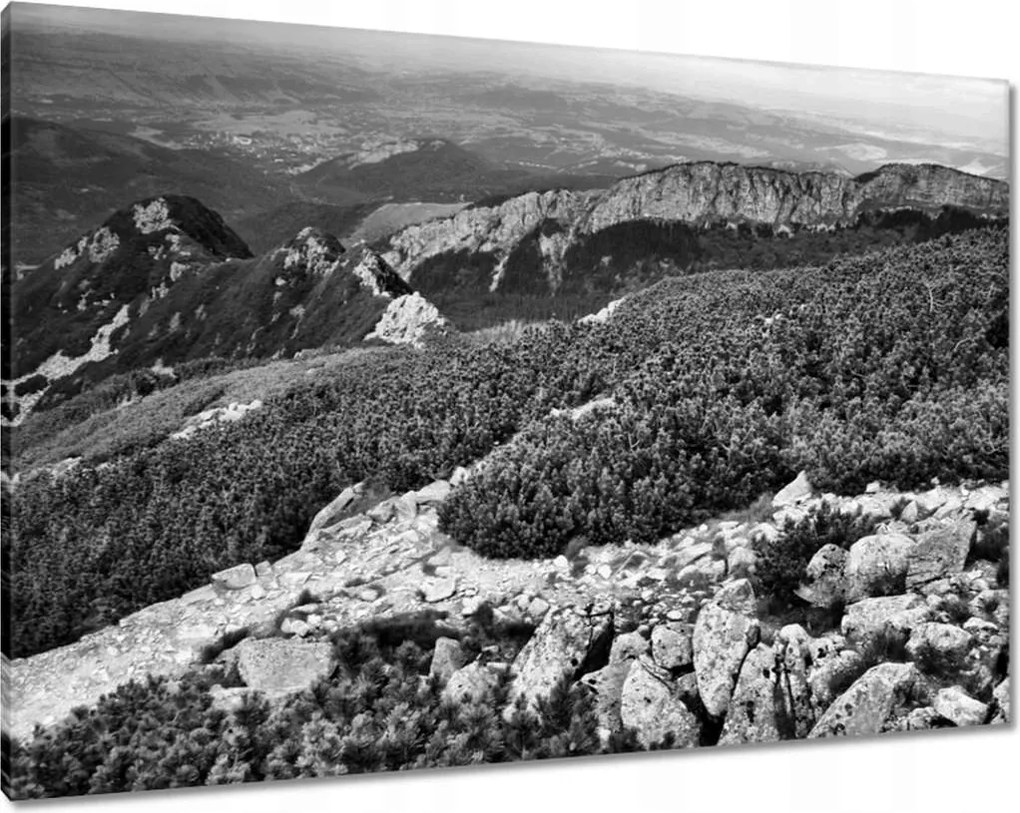 Képek 100x70 Tátra Lengyel hegyek Kilátás