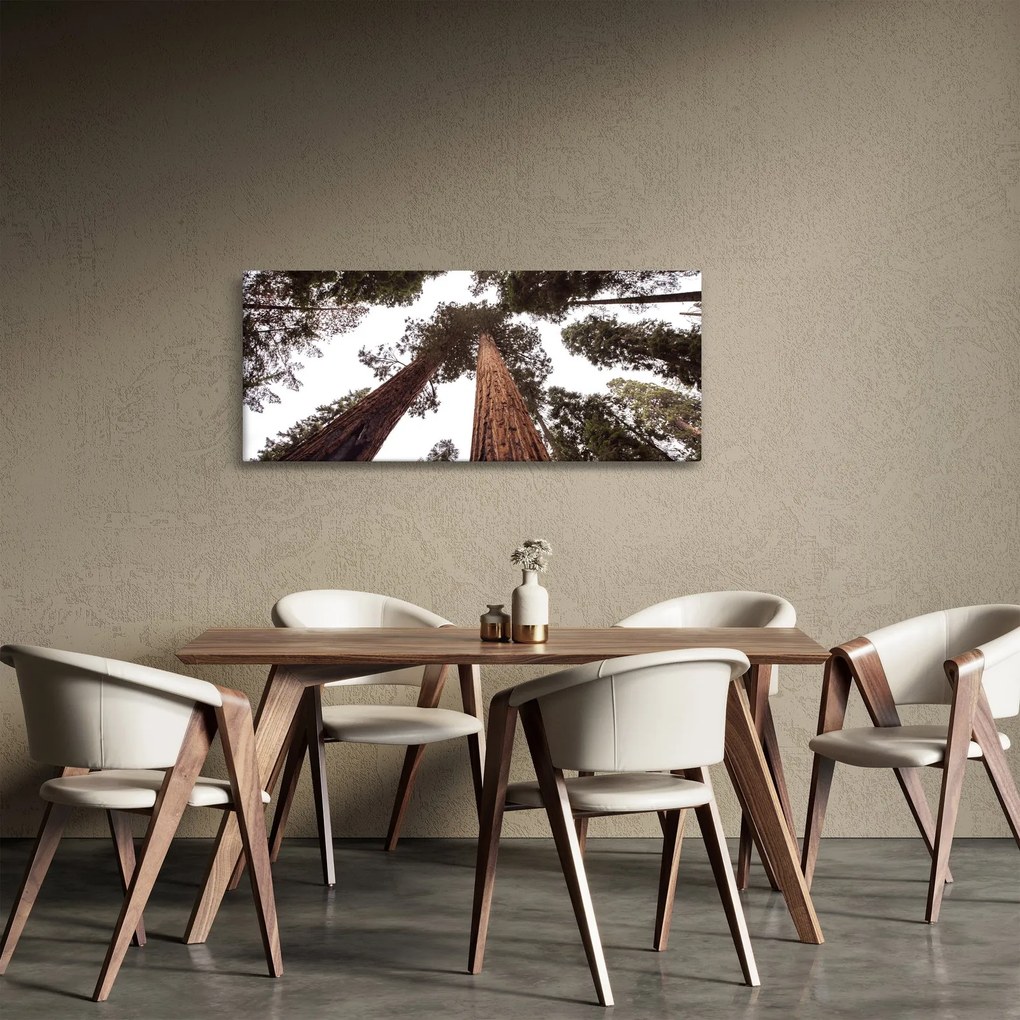 Kép - Kilátás a fák között (120x50 cm)