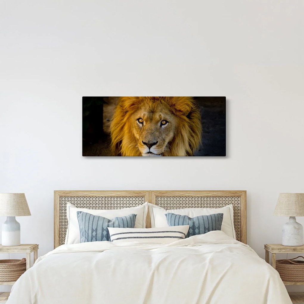 Kép - Egy oroszlán portréja (120x50 cm)