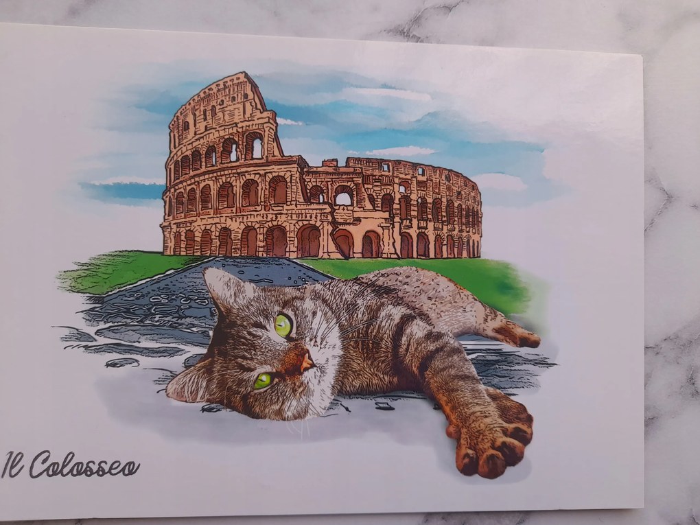 Grafika Keret Olaszország Roma Római Coloseum Macska