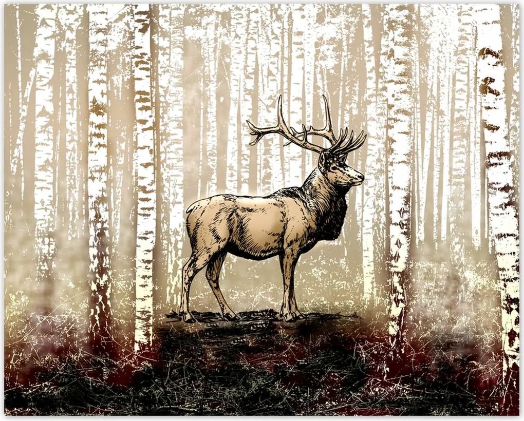Poszterek 50x40 Szarvas Nyírfa Erdő