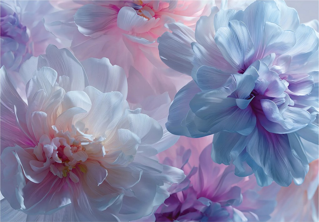 Fotótapéta Virágok Bazsarózsa Természet Hálószoba Nappali Tapéta Flizelina 350x250