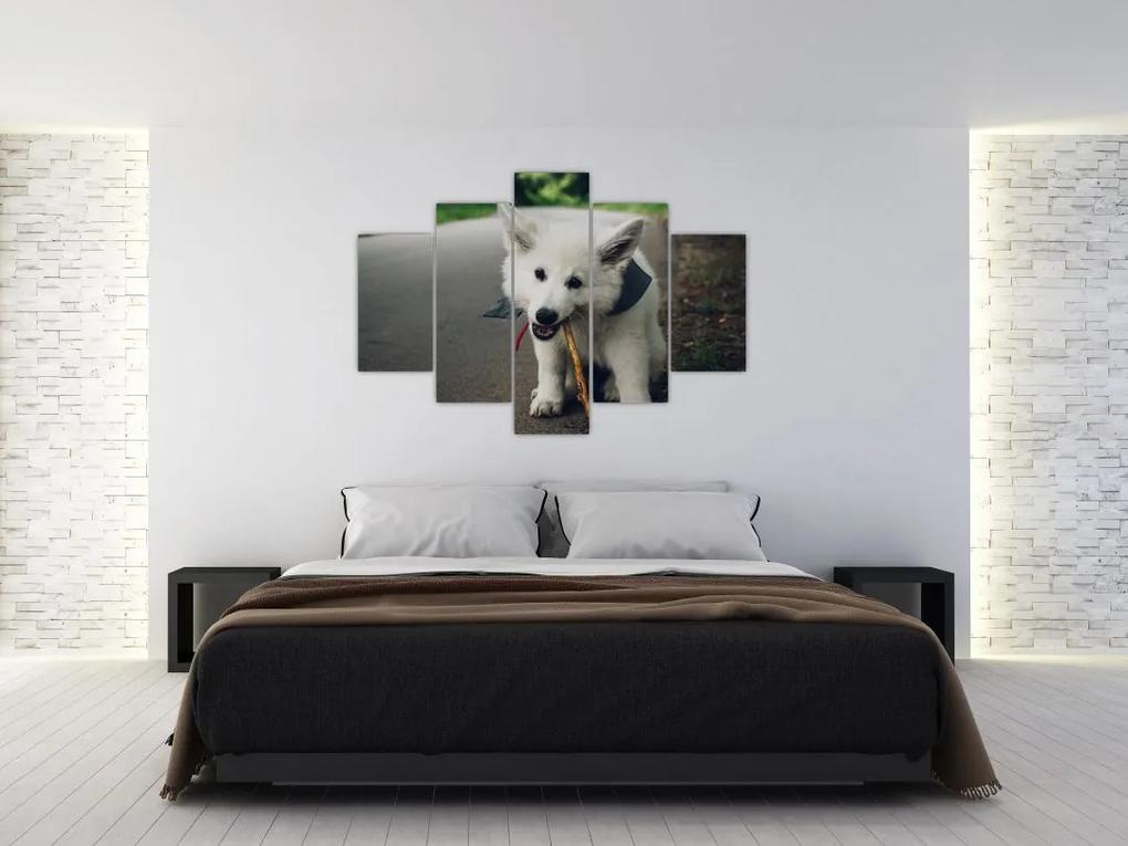 Egy fehér kutya képe (150x105 cm)