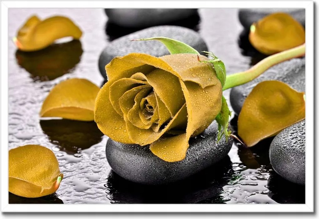 Poszterek keretben 60x40 Sárga rózsa köveken