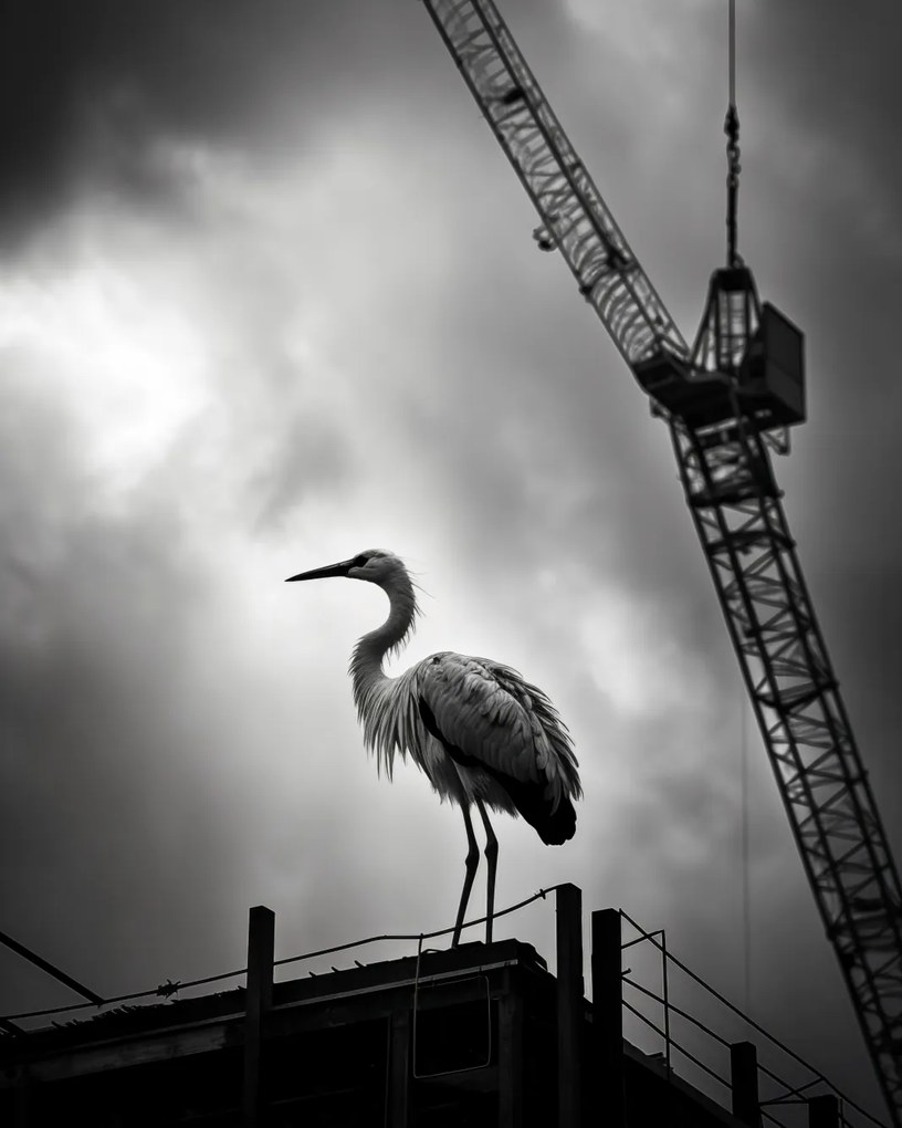 Poszter 40x50cm Magasan a horizont felett