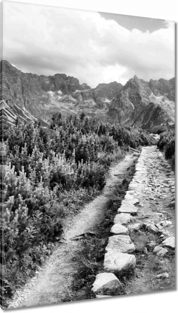 Vászonkép 80x120 Tátra Lengyel hegyek Kilátás