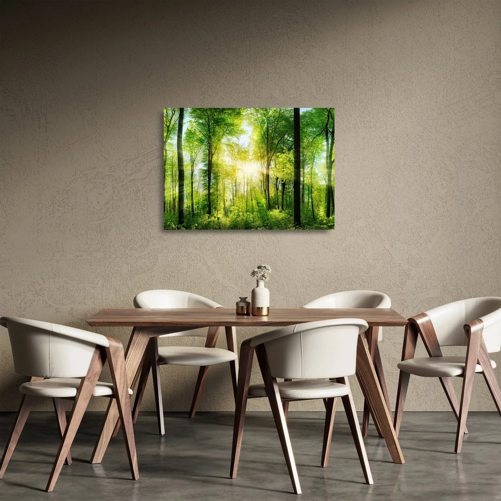 Kép - Hajnal az erdőben (üvegen) (70x50 cm)