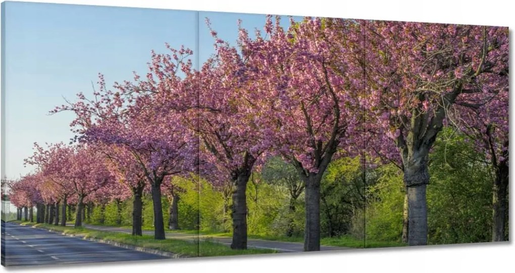 Festmények 180x90 Fa Fák Kilátás